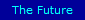 The Future